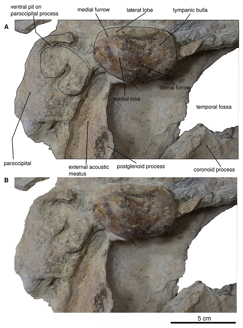 figure5