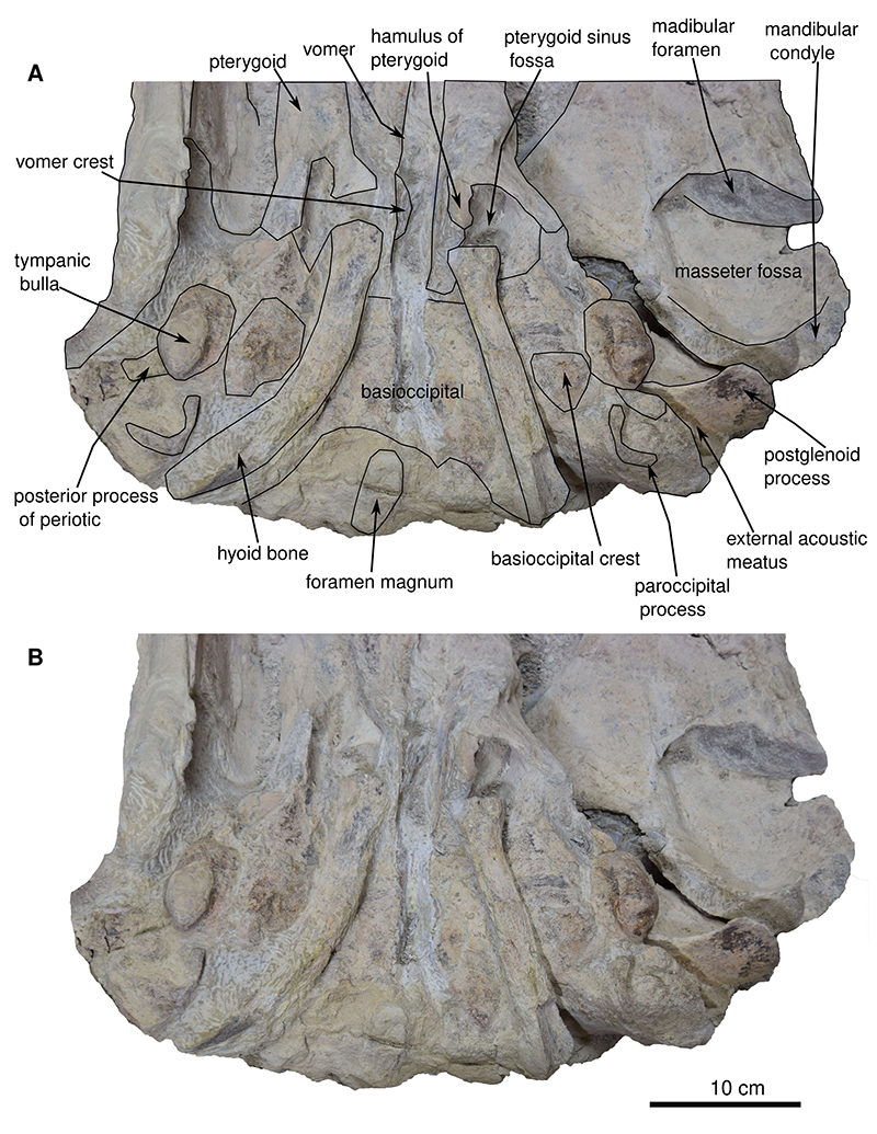 figure6