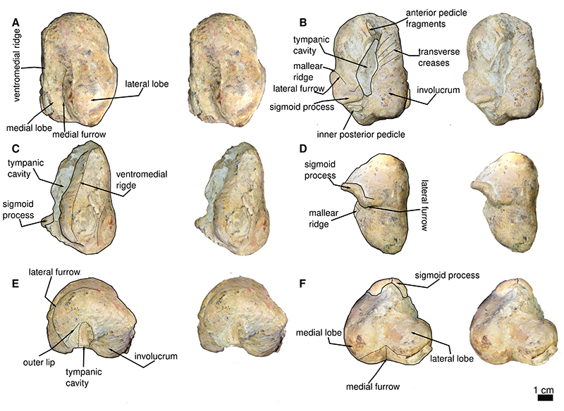 figure7