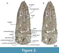 s figure2