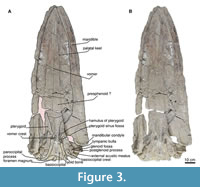 s figure3