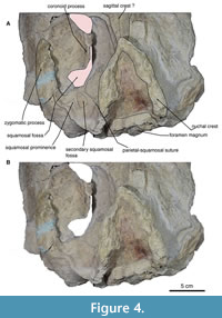 s figure4