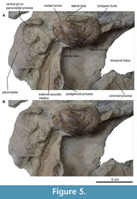 s figure5