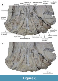 s figure6