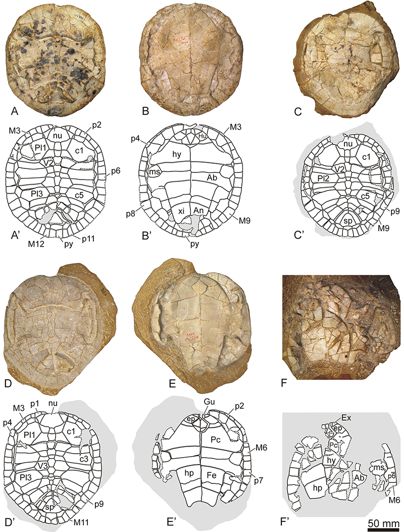 figure1