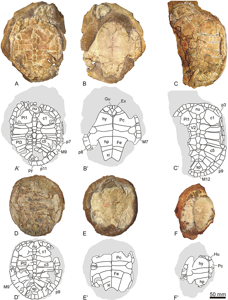 figure2