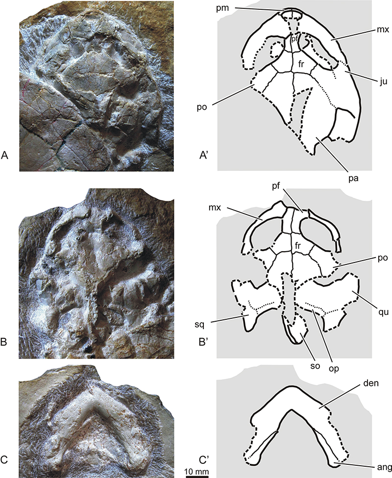 figure3