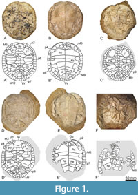 s figure1