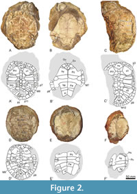 s figure2