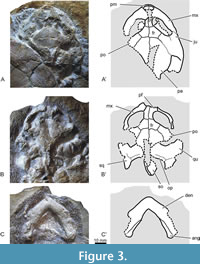 s figure3