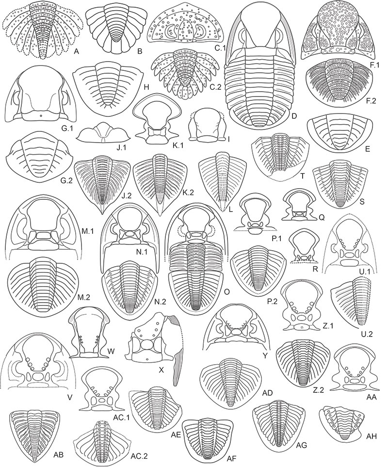 figure12