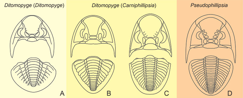 figure9