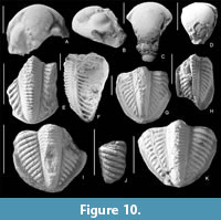 s figure10