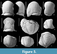 s figure5