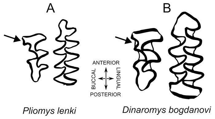 figure1