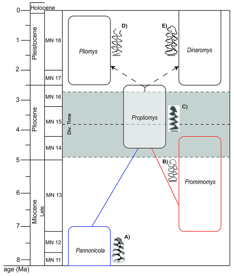 figure4