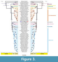 s figure3