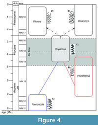 s figure4