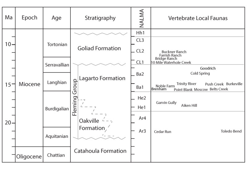 figure1