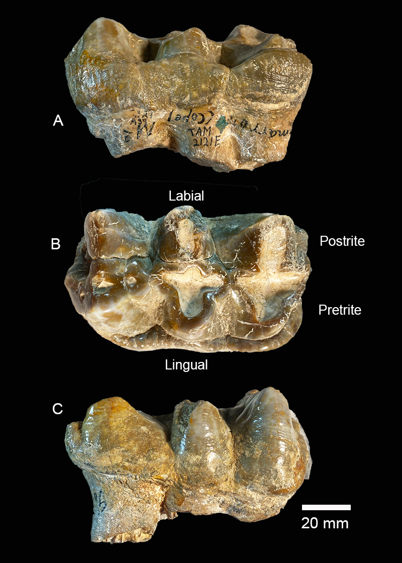 figure12