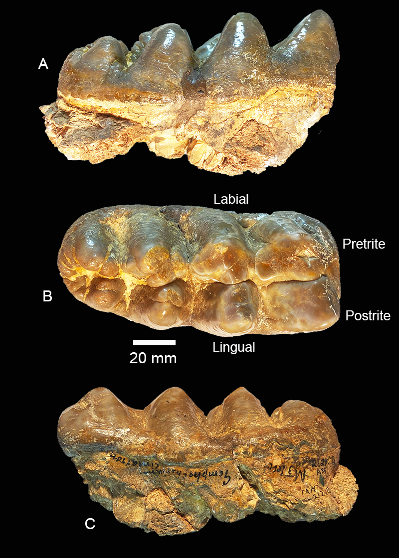 figure13