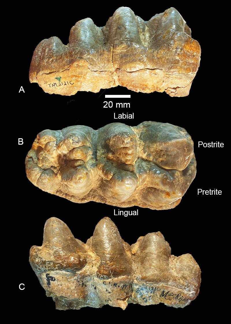 figure14