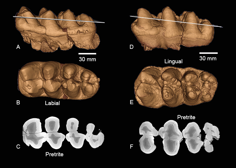 figure15