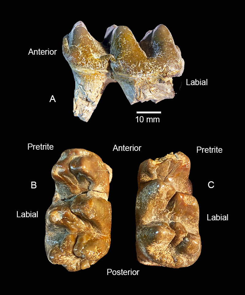 figure16