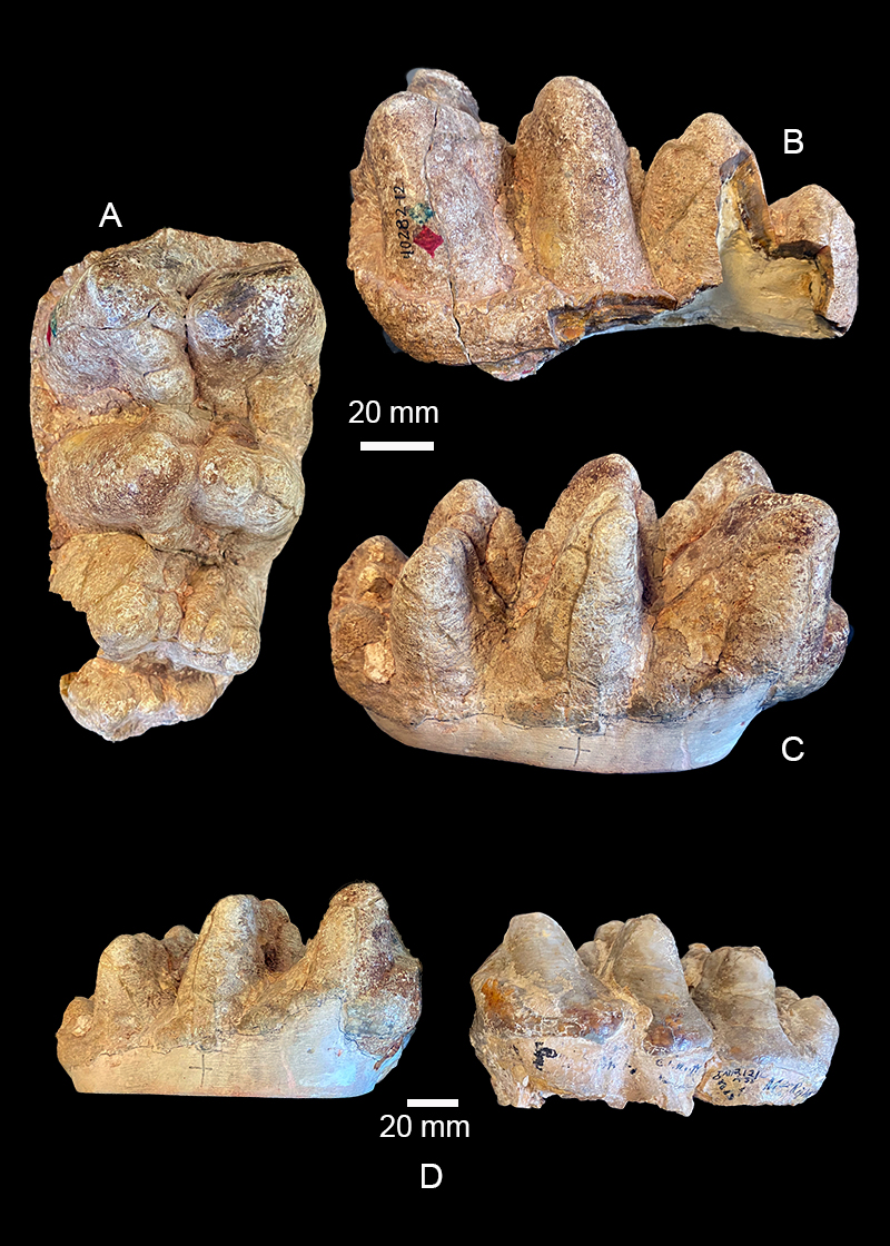 figure18