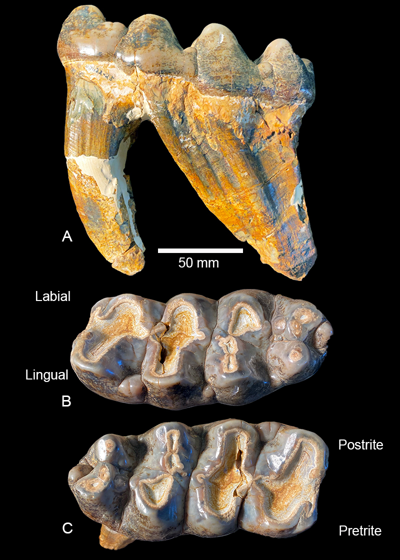 figure23