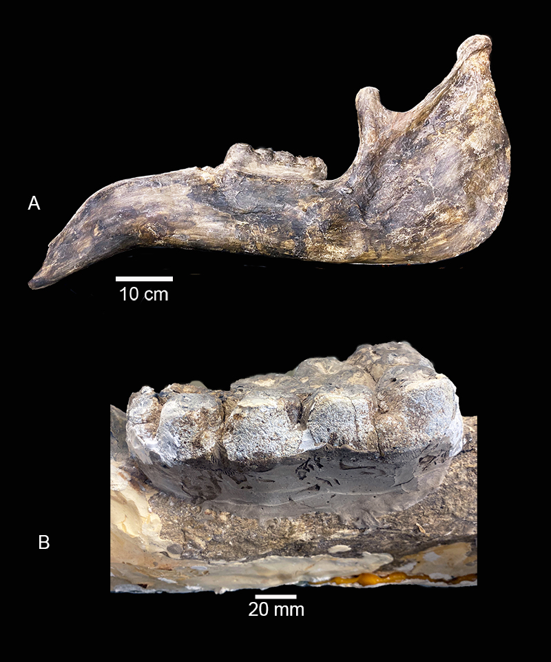 figure23