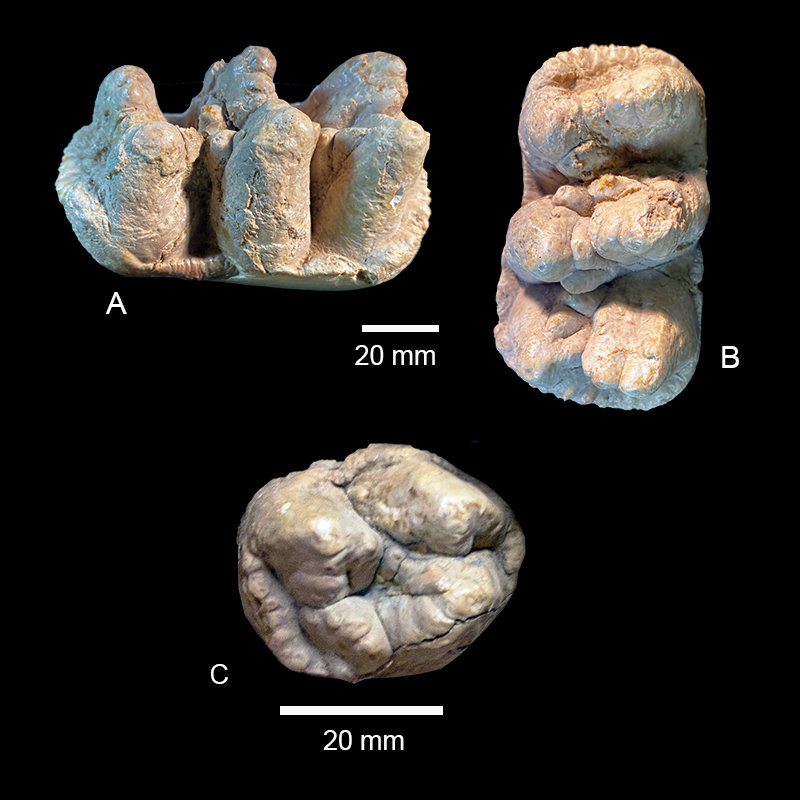 figure25