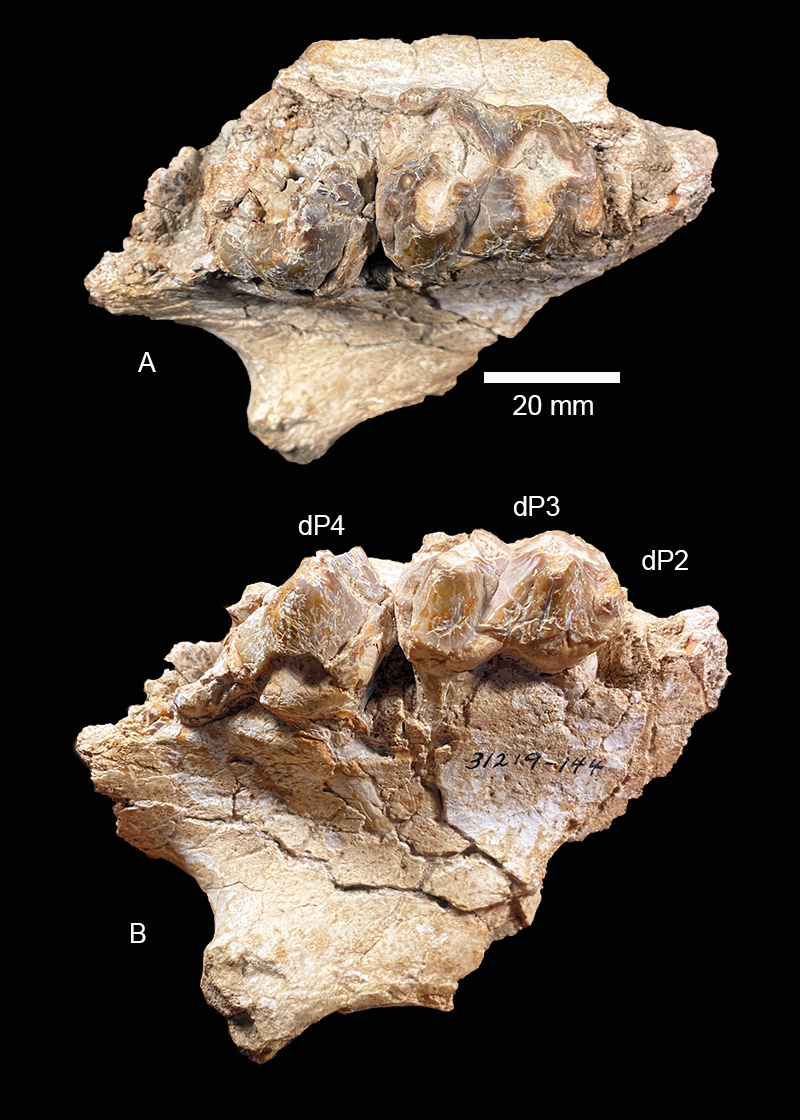 figure26