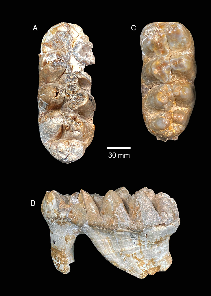 figure28