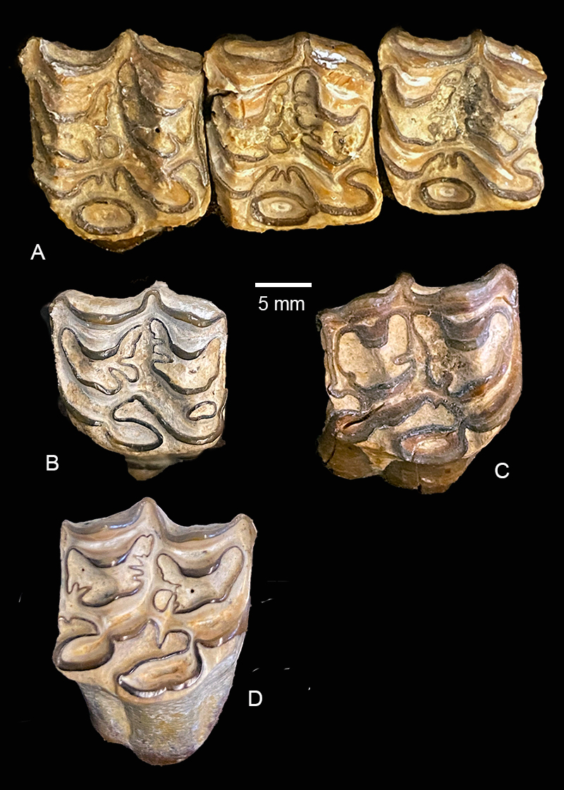 figure3