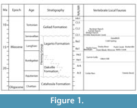 s figure1