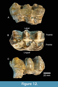 s figure12