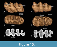 s figure15