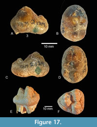 s figure17