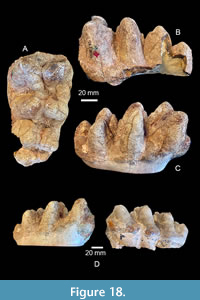 s figure18