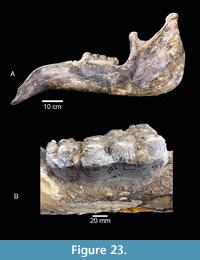 s figure23