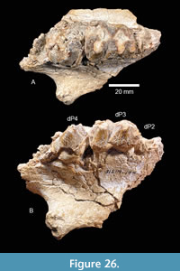 s figure26