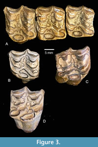 s figure3