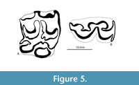 s figure5