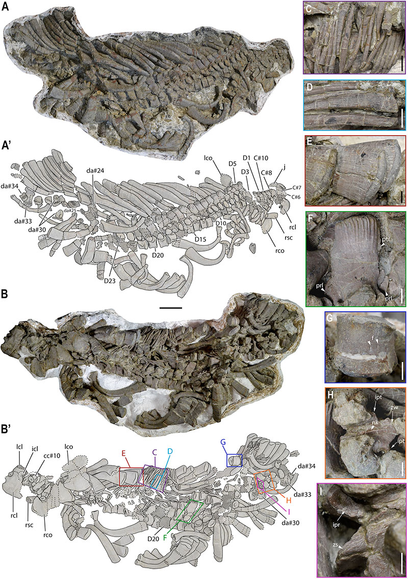 figure1