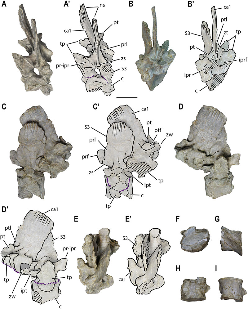 figure10