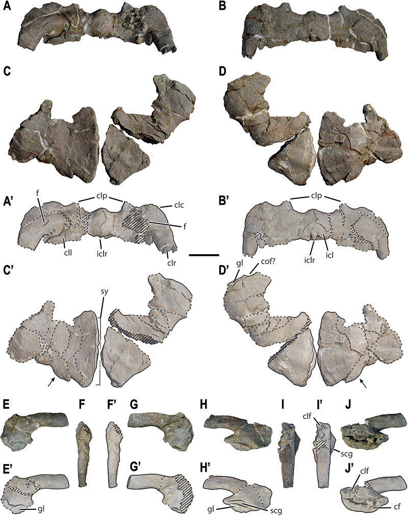 figure13