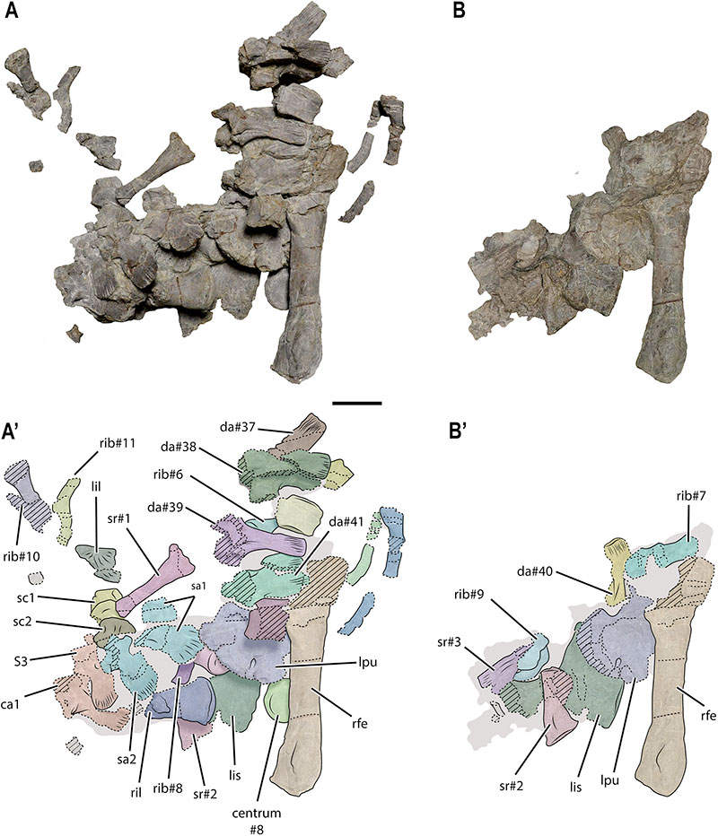 figure2