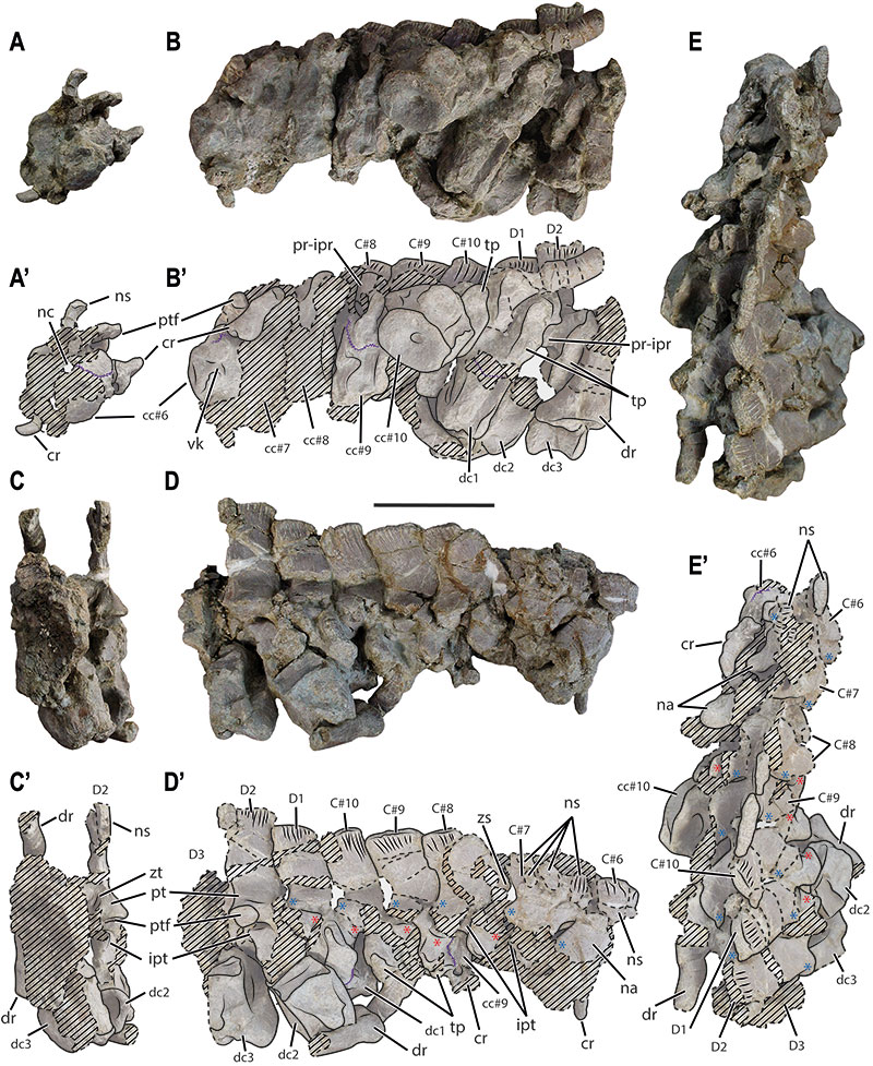 figure4