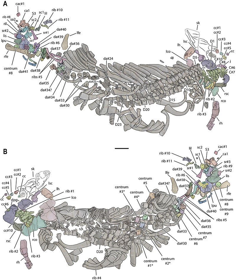 figure s1 1